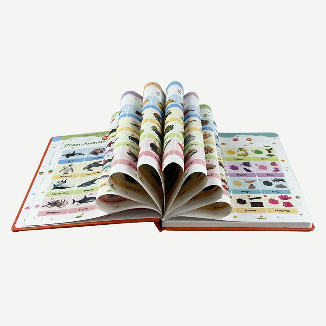 First English Words Sound Book detail 2