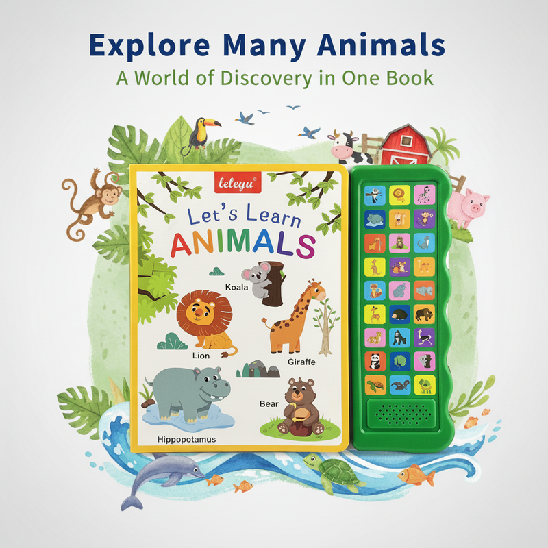 Explore many animals