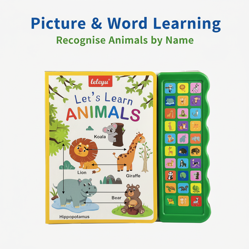 Picture and word learning